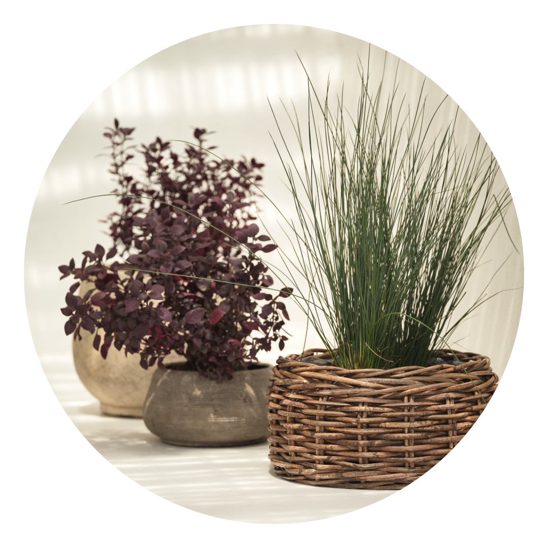 Planters