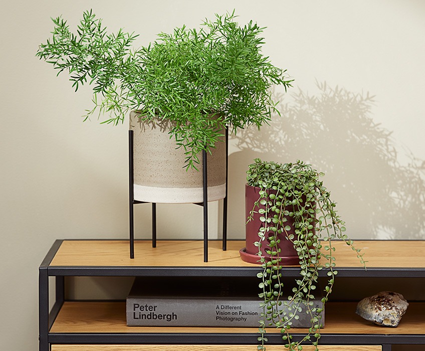 Dwie doniczki na nowoczesnym stojaku telewizyjnym, jedna ze spiczastą rośliną, a druga z wiszącą rośliną