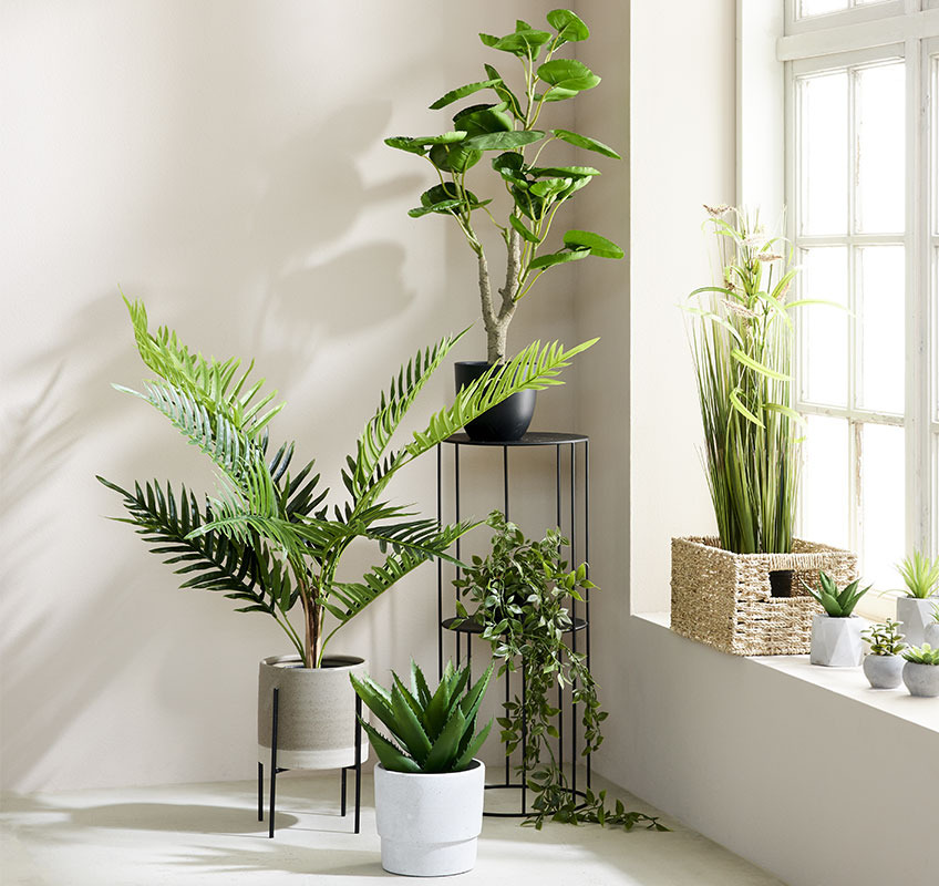 Zielone, sztuczne rośliny, które mają różne kształty i rozmiary 